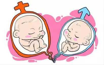 娄底哪里有女人代孕的_娄底代孕DNA检测_试管婴儿胚胎移植能看出男女吗
