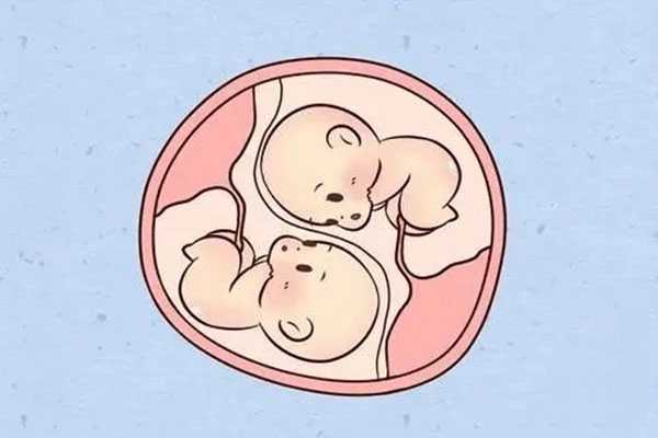 江门38岁供卵试管婴儿能成功吗_三代试管婴儿单胎和双胎移植成功率哪个高？
